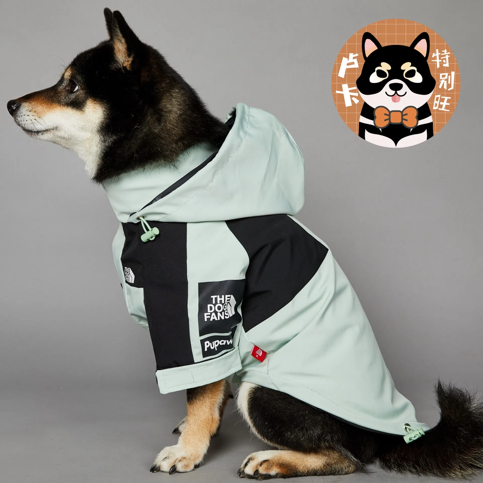 

Four Seasons Light Green Tide Brand Windproof and Rainproof Dog Face Dog Large Dog Poncho Pet Jacket