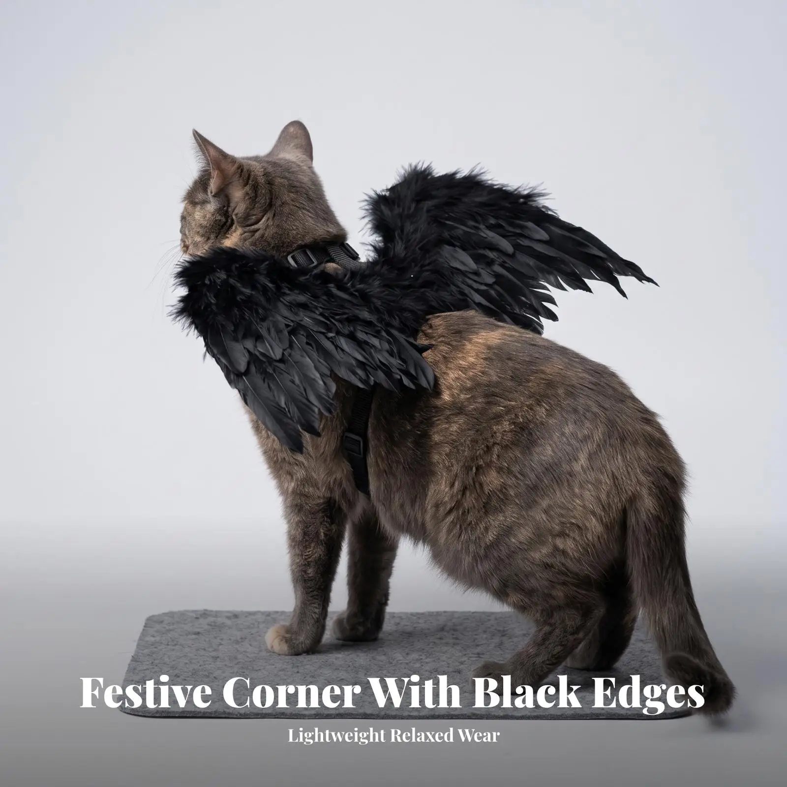 Pet Wing Costume with Harness Lightweight Dog Clothes Adjustable Comfortable for Pet Wing Costume with Harness Lightweight Dog Clothes Adjustable Comfortable for