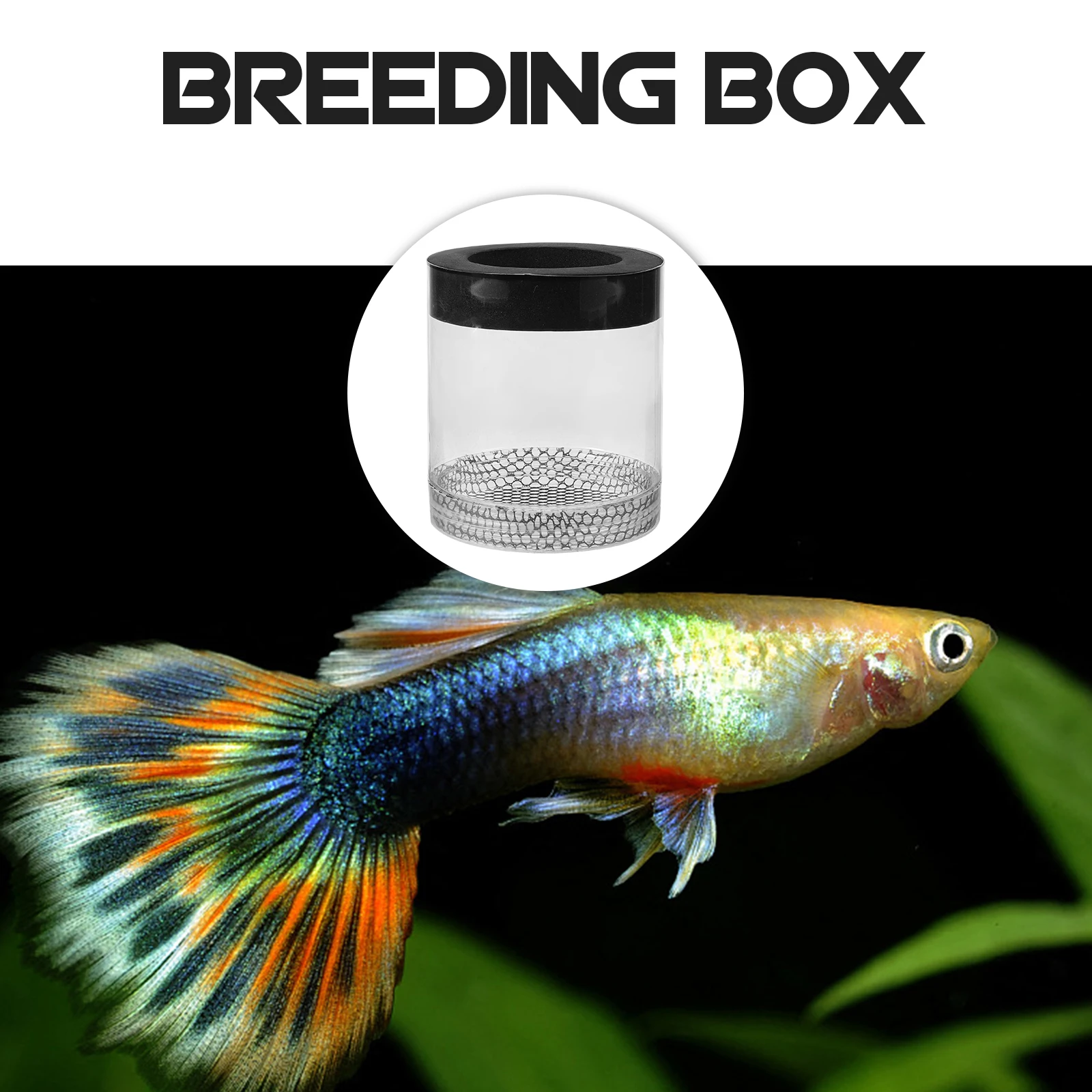 

Guppy Breeding Tank Fish Breeder Box Aquarium Isolation Container for Pregnant Guppies Newborn Fry Protection Floating Breeder