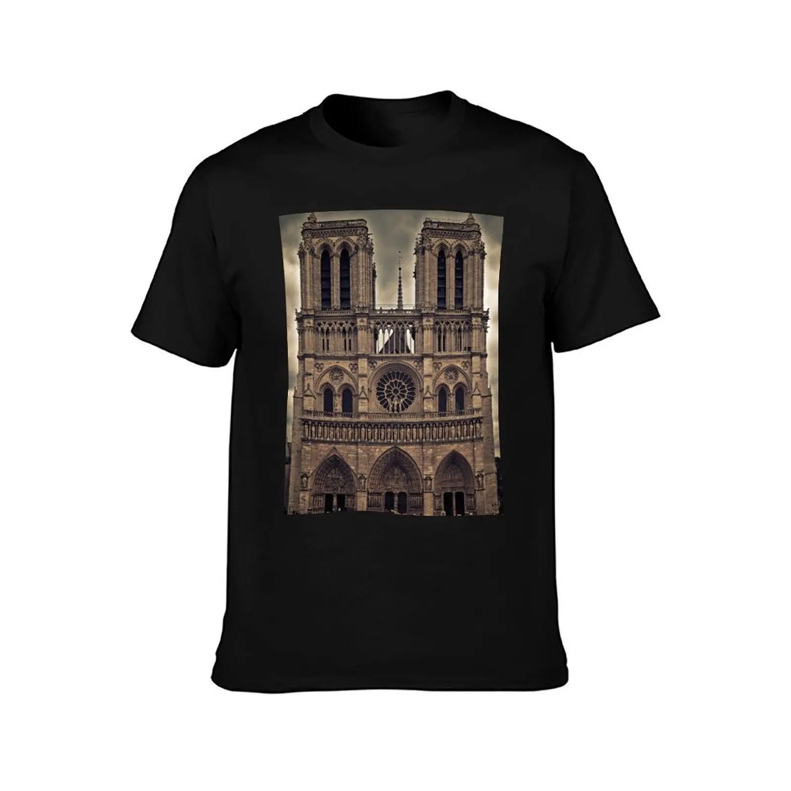 Notre-Dame de Paris Cathedral - Cathedral T-Shirt Plus Size Basic Cotton T-Shirt