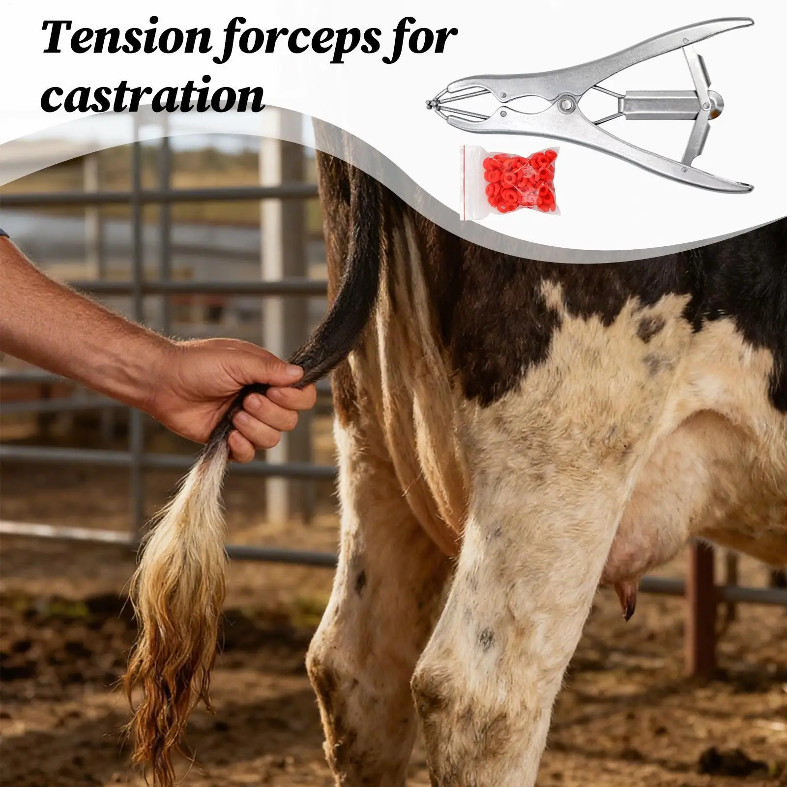 

Набор для обвязки коз, расширитель для удаления, эргономичный набор для обвязки коз из нержавеющей стали для тегов, крупного рогатого скота, хвоста, щенка, расширения