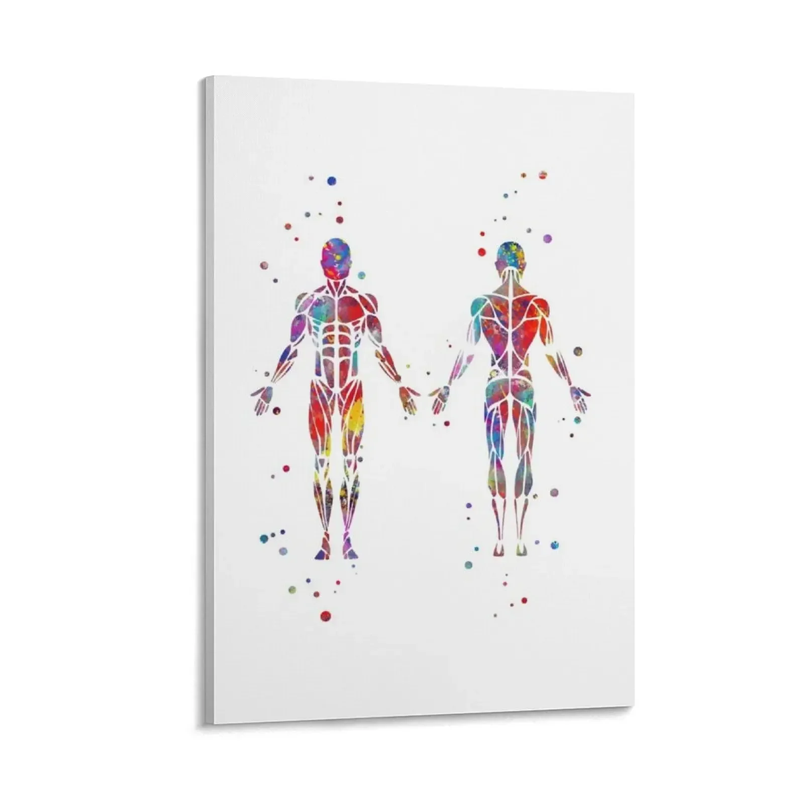 

Muscular System, man body, man muscles Canvas Painting Decoration pictures room wall poster mural bedrooms decorations