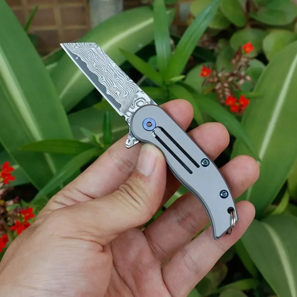 Swayboo-Couteau Por… - image