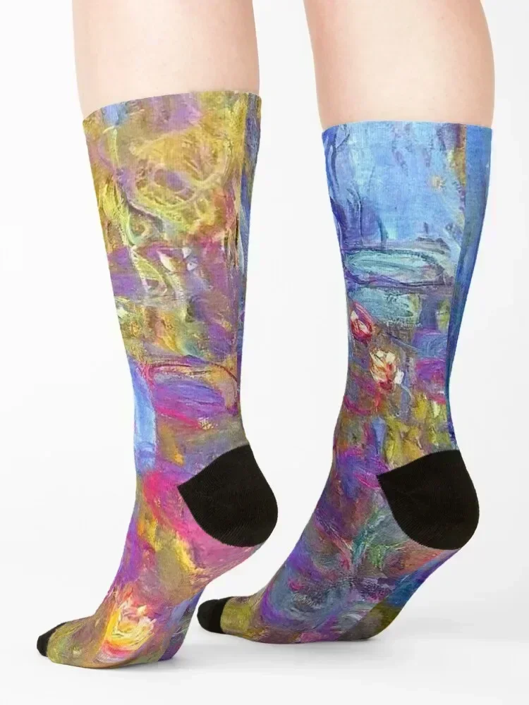 Water Lilies Monet colorful Socks Crossfit set Non-slip loose Socks Female Men's