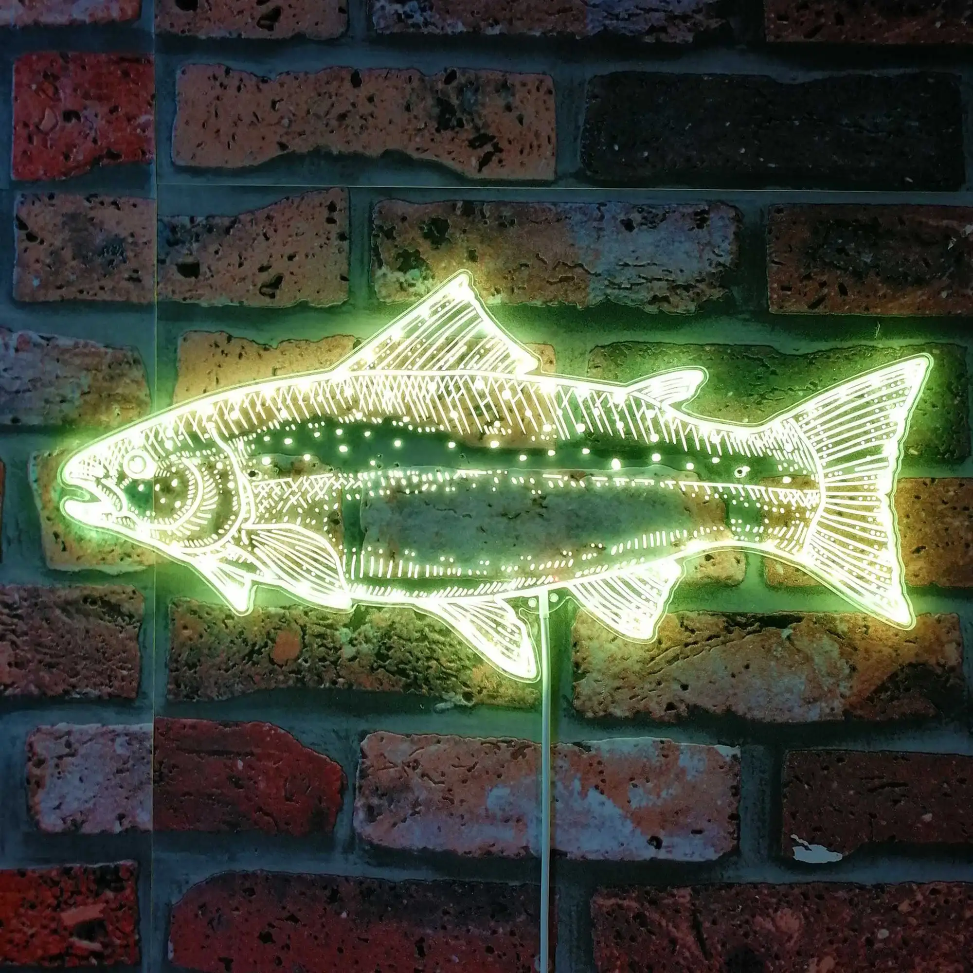 Salmon Fish Glam Led Neon Sign st06-fnd-i0240-c