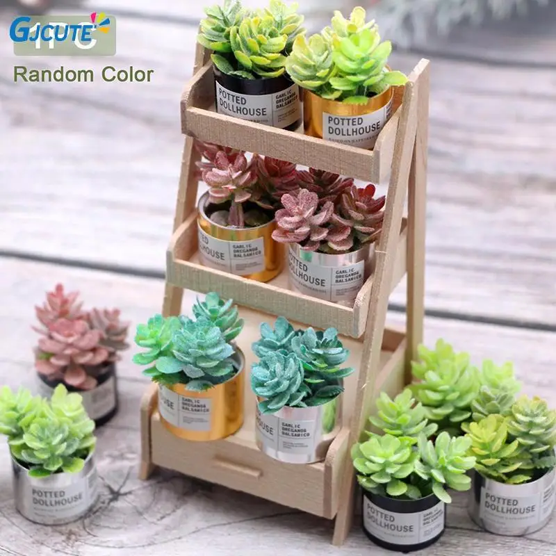 

1Pc Miniature Succulent Potted Plant Green Plant In Pot Bonsai Home Garden Model Decor Toy for 1:6 1:12 Doll House Accessories