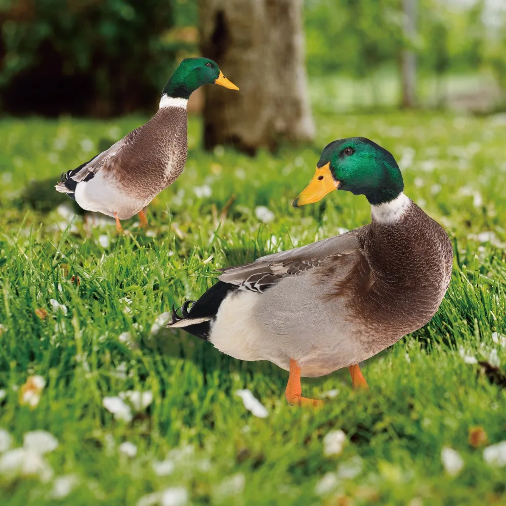 Garden Duck Statue 2D Acrylic Wild Duck Sculpture For Yard Decor Double-Sided Printing Weatherproof Duck Figurine For Farm