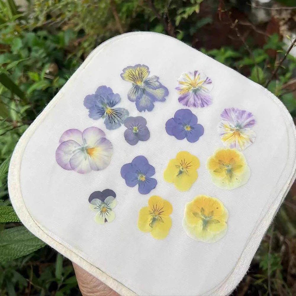 Microfleur Microwave Flower Press Kit - Fast-Dry Plant & Flower Preservation for Framing, Crafting, and Botanical Specimens