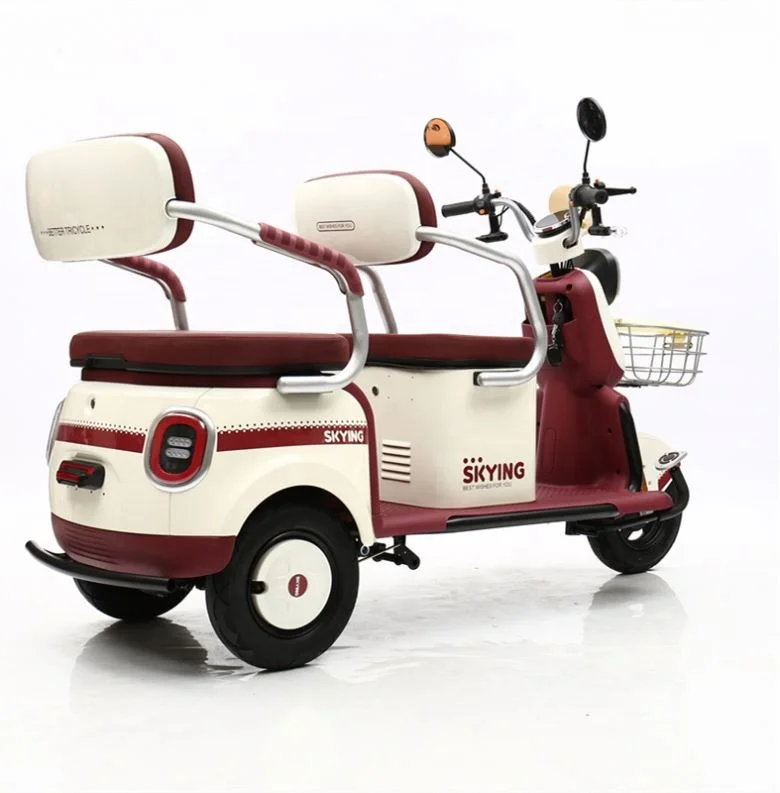 500W Tricycle Electric Bike Three Wheel Electric Motor Bike Adult Two Seat Tricyclele