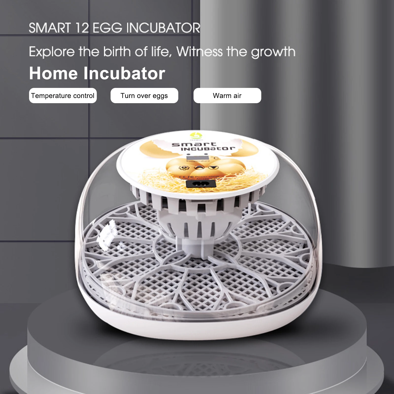 12 Eggs Incubator Hatching Eggs Fully Automatic Smart Chicken Incubator 360 Degree View Temperature Controlled Display 110/220V