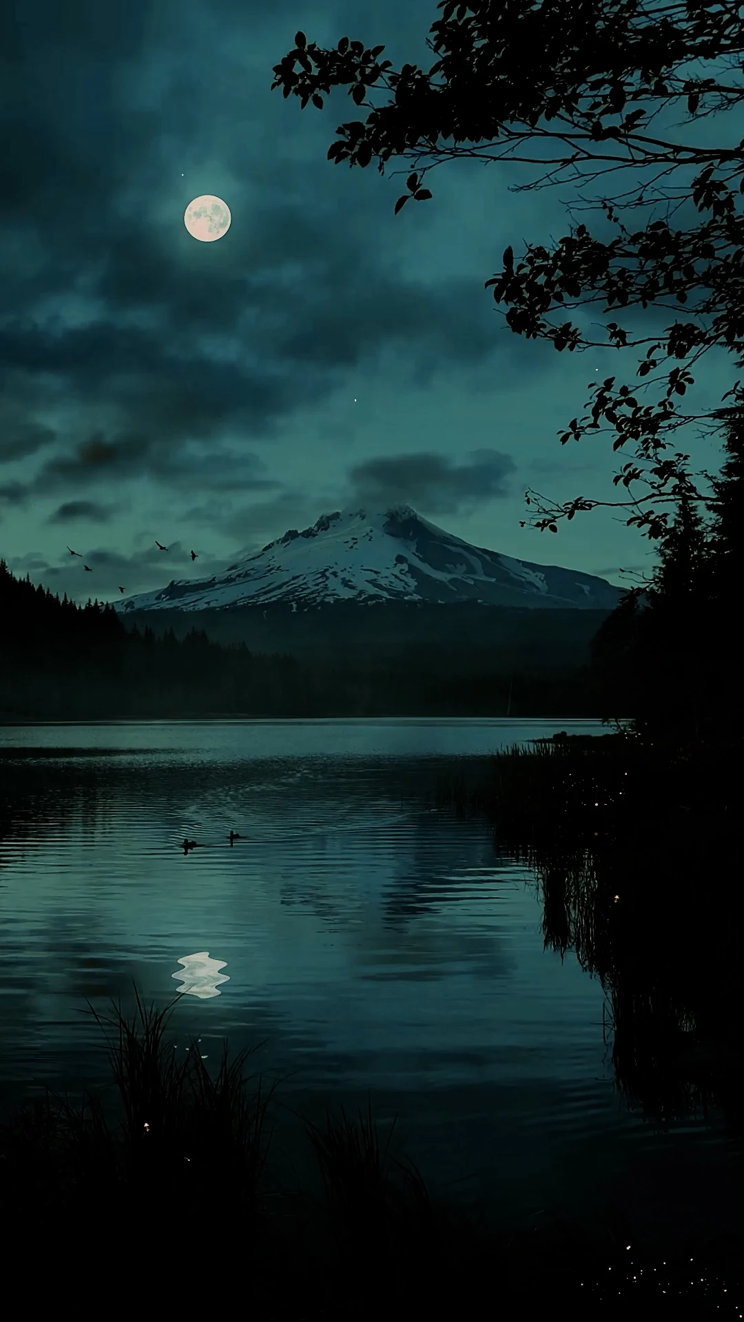 

Austar RC Tires Foam Insert Wheels Tyre for Axial SCX6 AXI05000 1/6th RC Crawler Car 2.9inch Terrain Tyre 180mm