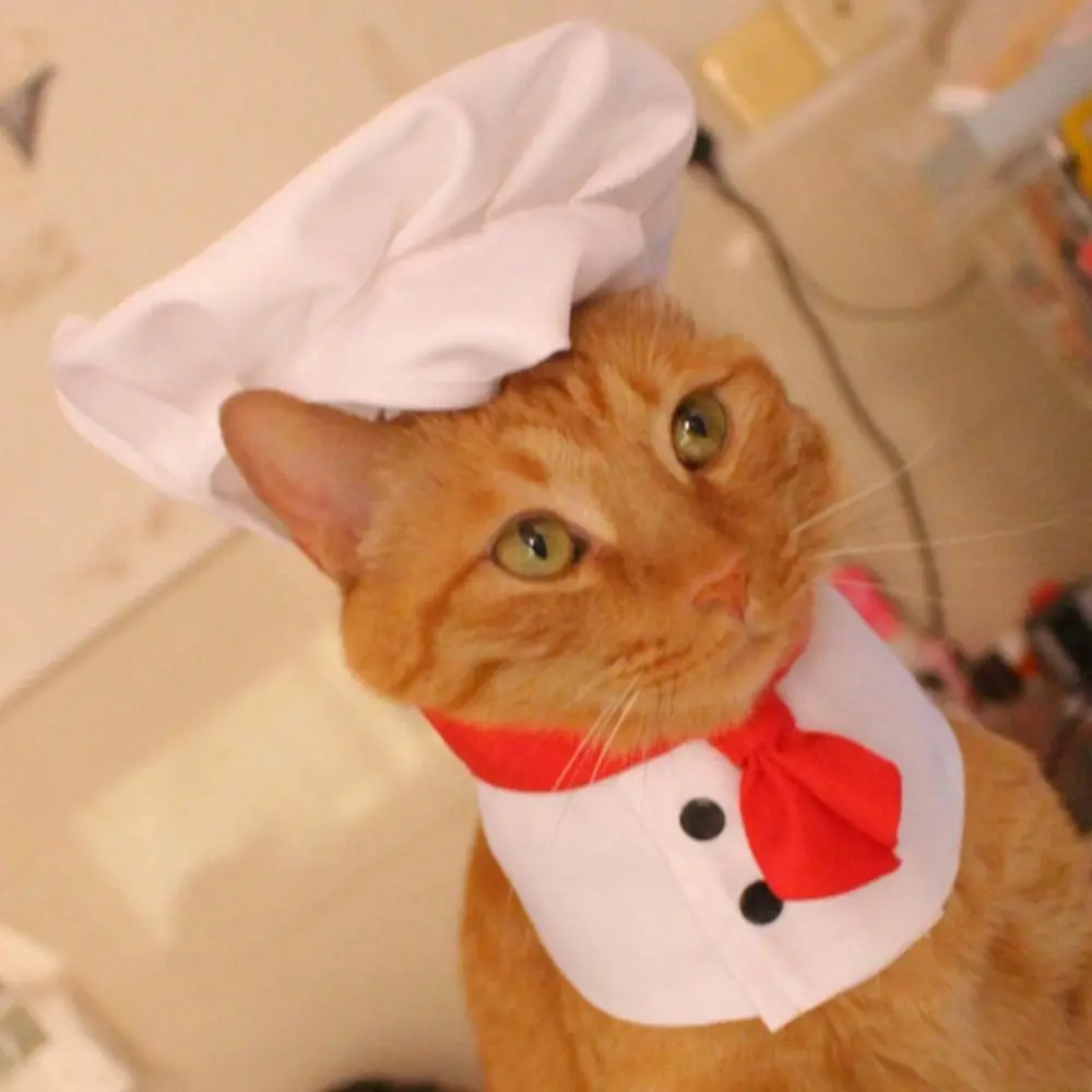 Cat Chef Hat Set Pet Cooking King Hat Cat Dog Transformation Dress Cosplay Props Pet Accessories