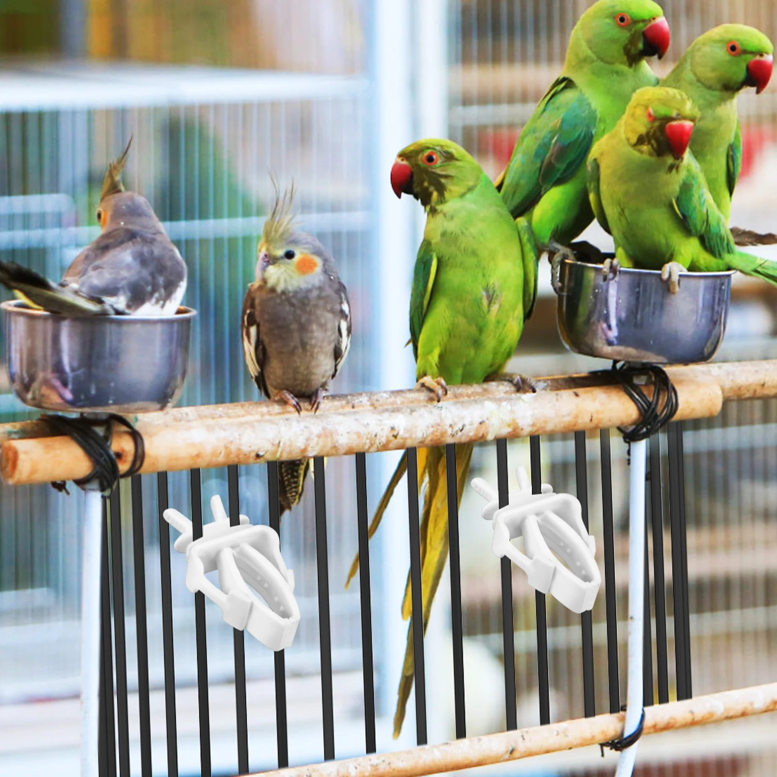 

4 Pcs Birdcage Clamp Parakeet Food Clips Animal Feeding Accessories for Cages Feeder Mini