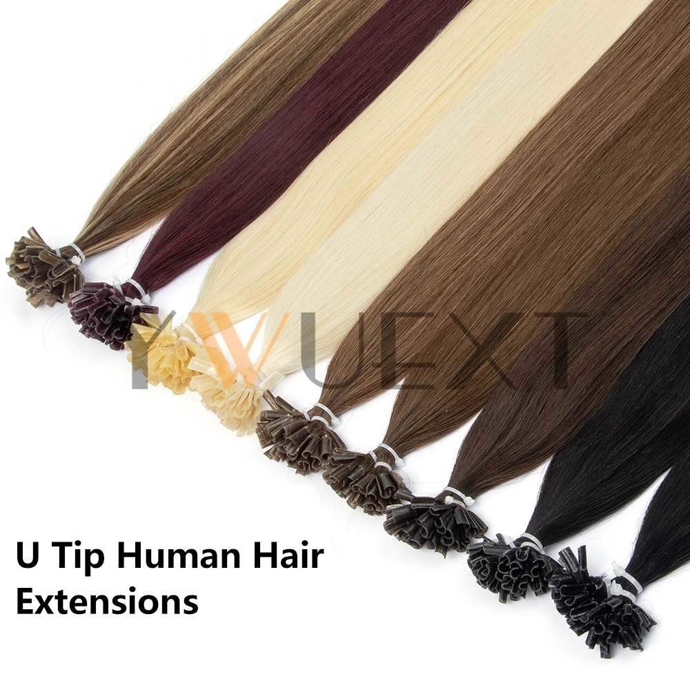 

Natural Straight U Tip Human Hair Extensions 12''-20'' Machine Remy Fusion Hair Lightweight Keratin Hair for Women 30g/pack