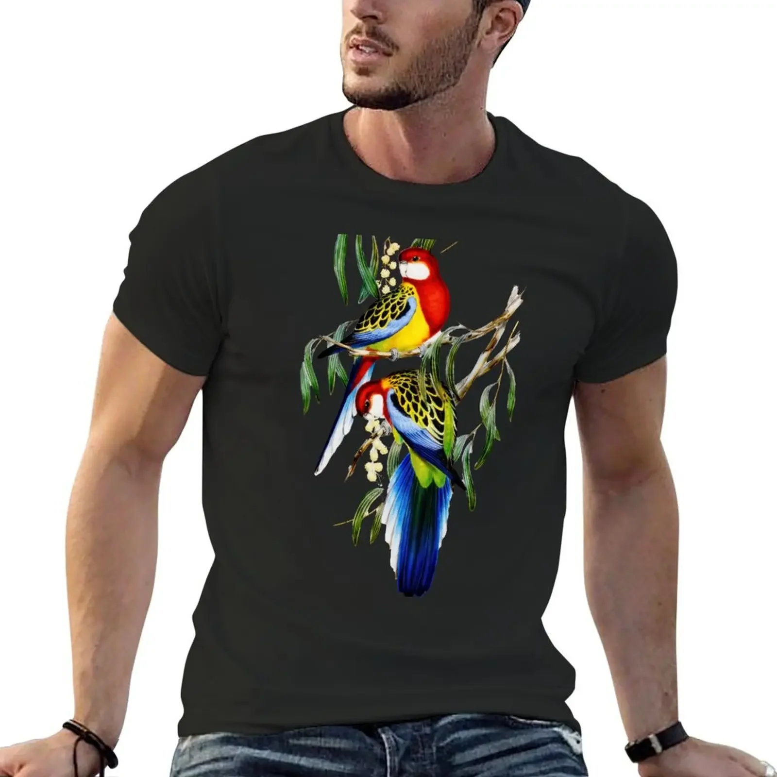 

Eastern Rosella (Platycertus Eximius) by John Gould T-Shirt graphics sports fans mens tall t shirts