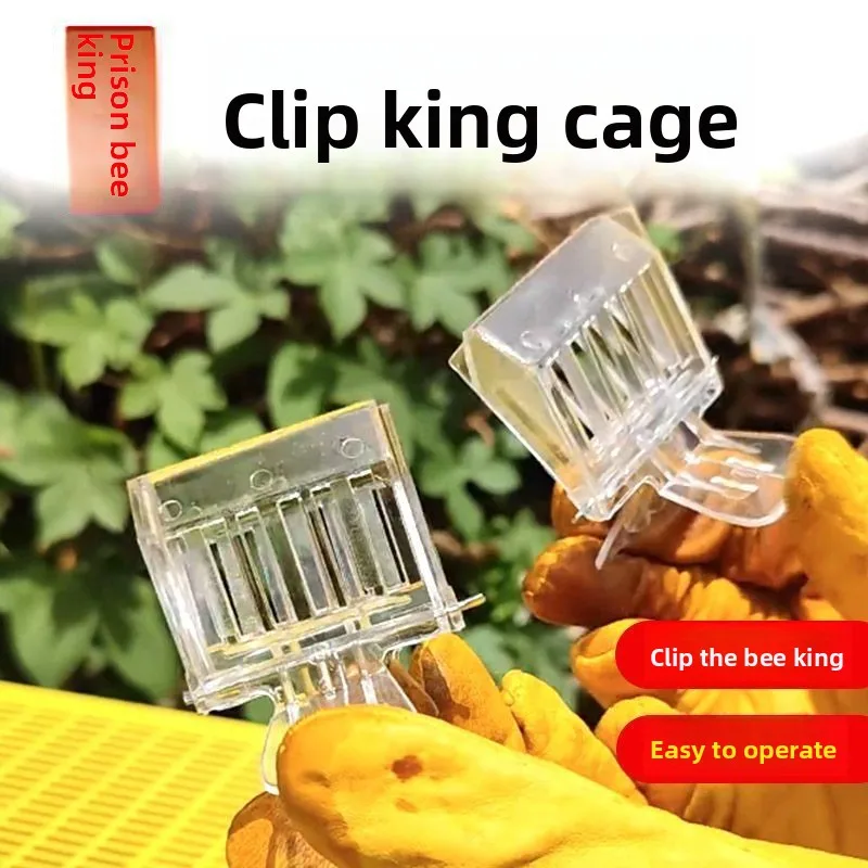 

Book clip type king cage Plastic king cage clip Bee prisoner king Special beekeeping tool for catching queen bees Escape