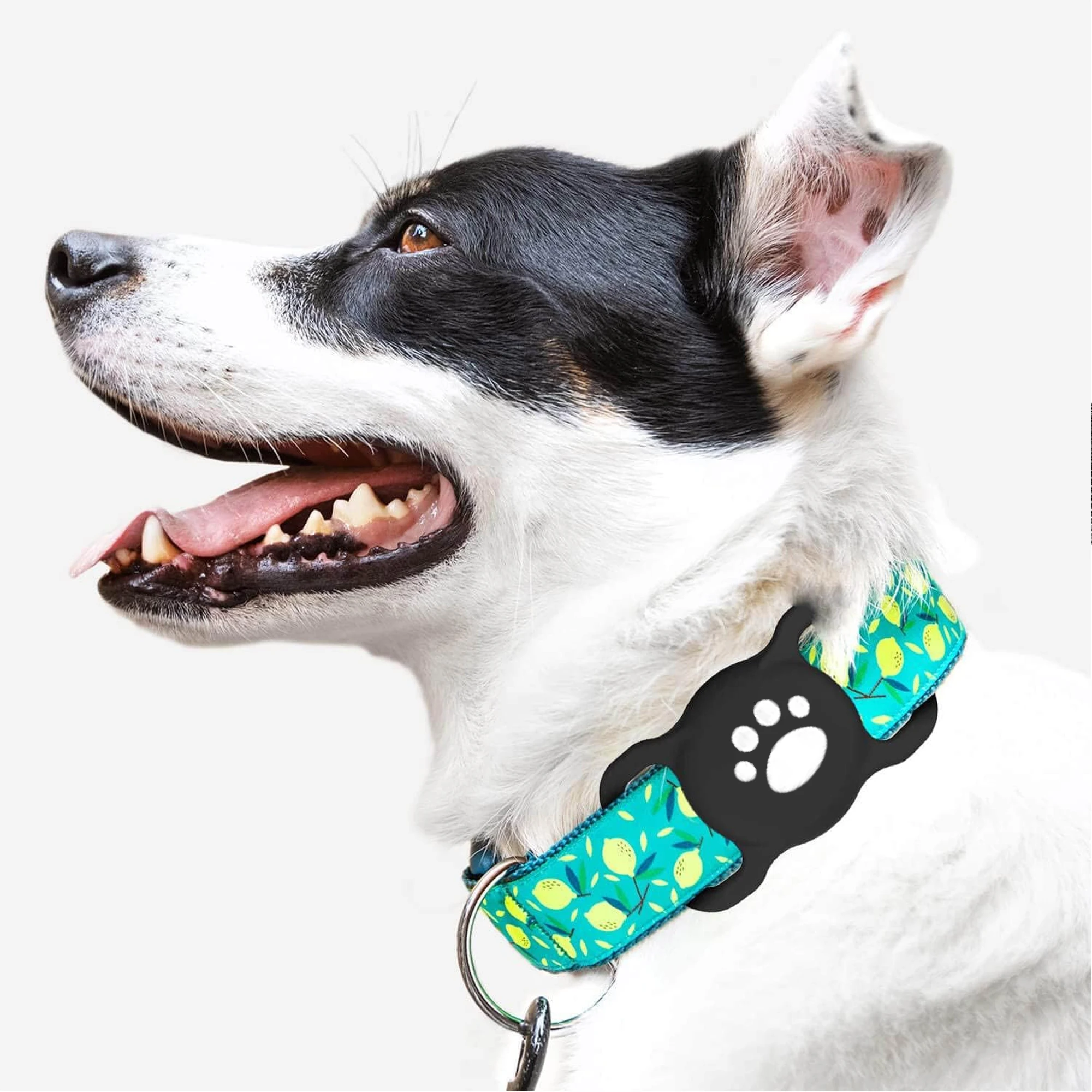 Cat Collar Airtag Holder,Elastic Silicone Air Tag Holder for Puppy Dogs Cats Kitten, Light and Durable Holder with Slide-On Loop