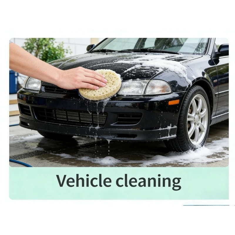 

3/5PCS High Density round Kitchen Dishwash Sponge Soft Absorbent Rust Scouring Pad for Household CleanPot Rubbing And Clean