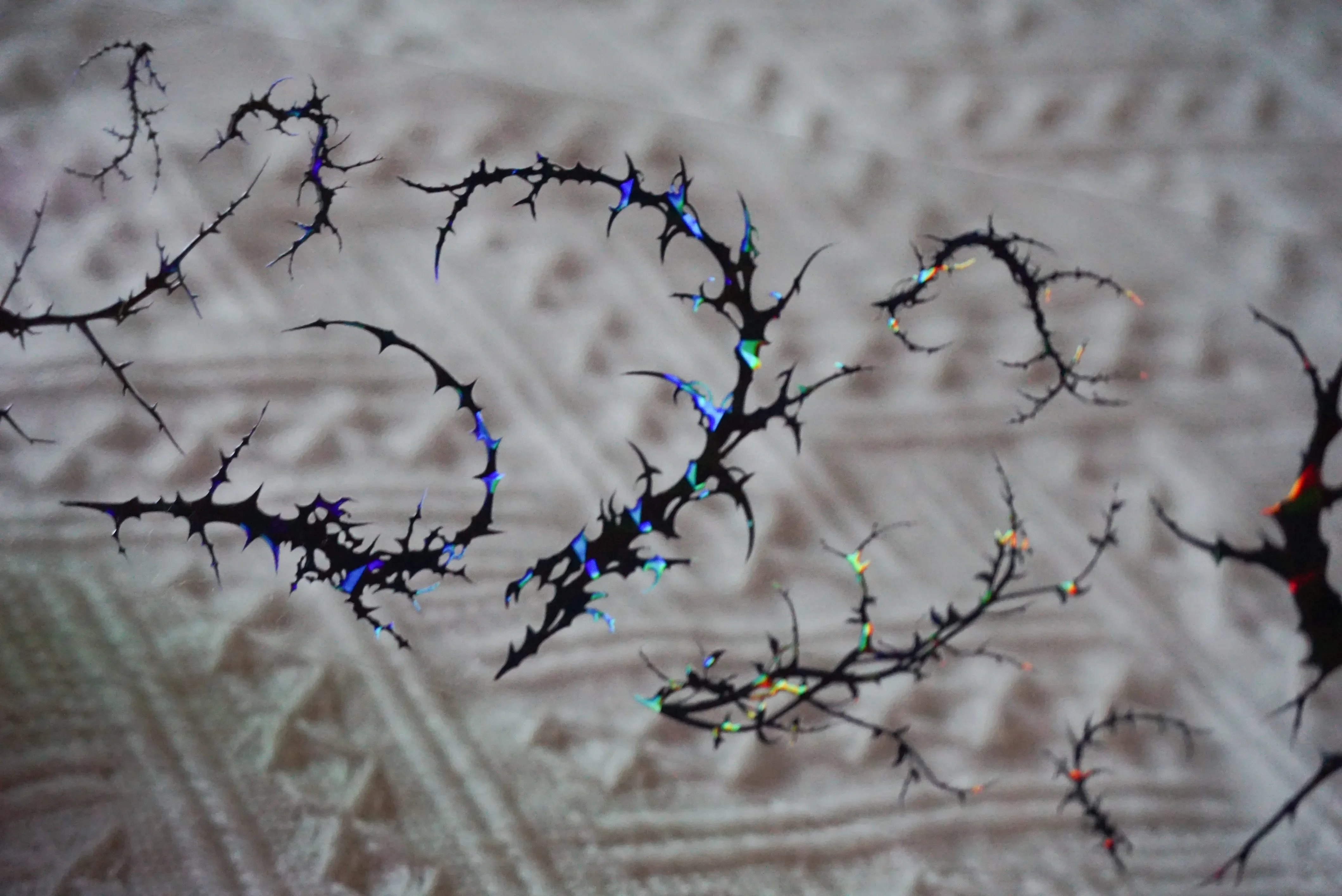 Branches, Black Roses, Vines, Dark Style Seashells Card Stickers PET Washi Tape