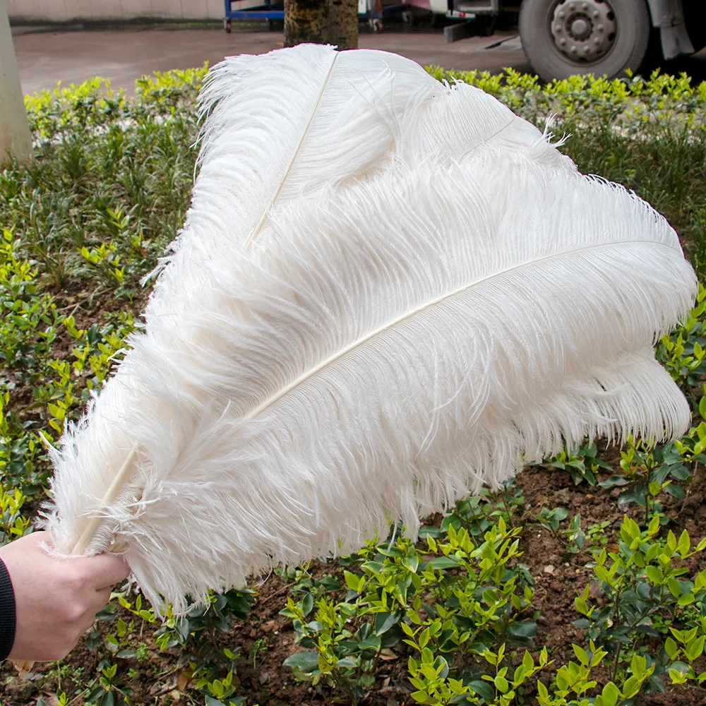 10pcs White Large Ostrich Feather 15-55cm for Wedding Party Carnival Decoration Natural Ostrich Feathers Crafts DIY Accessories