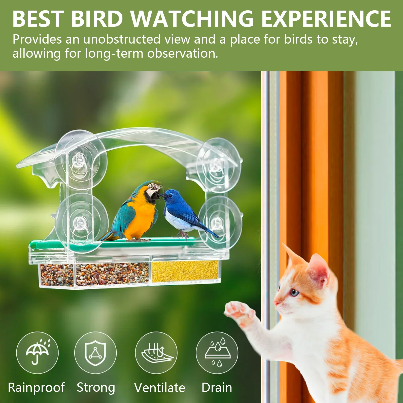 Thumbnail 3 - #5 Compare Birdhouses Before You Buy