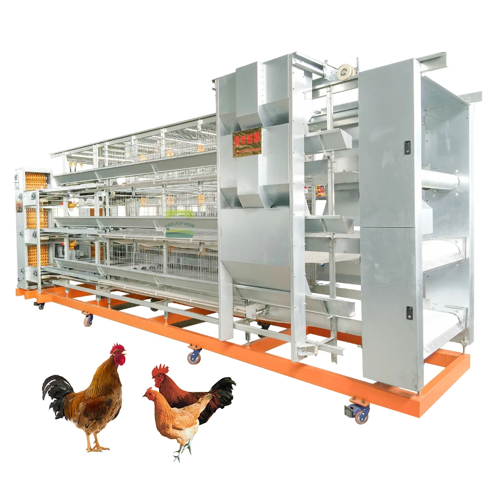 

GREAT FARM Hot Sale Chicken Cage Great Farm H-type Multilayer Hot Galvanized Fully Automatic H-type Layer Chicken Cage
