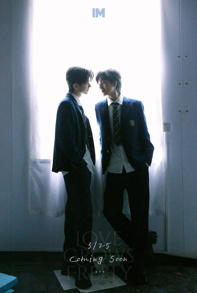 

Zhang xuanyu Guo jiale IM cards set official original card pre sale 2025.3 new