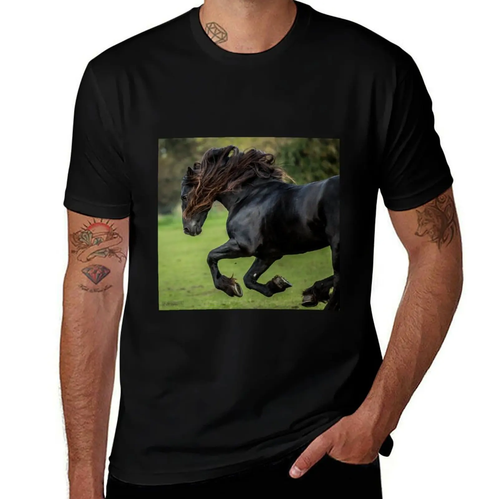The Friesian Experience-Camiseta de algodón con diseño de caballos Friesian Black Beauty, camisetas para hombre, camiseta 100% de algodón