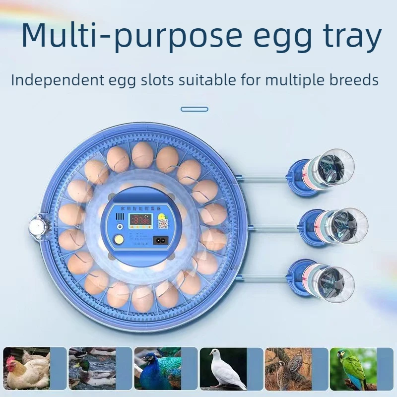 Fully Automatic Eggs Incubator Home Chicken Rutin Poultry Breeding Incubator Bird Egg LED Lamp Temperature Control Hatcher