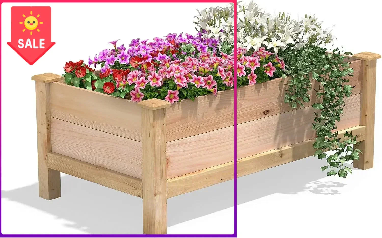 

Горячая распродажа: Премиальная кедровая грядка для сада, 61 см (Ш) x 122 см (Д) x 48 см (В) - Сделано в США из североамериканского кедра