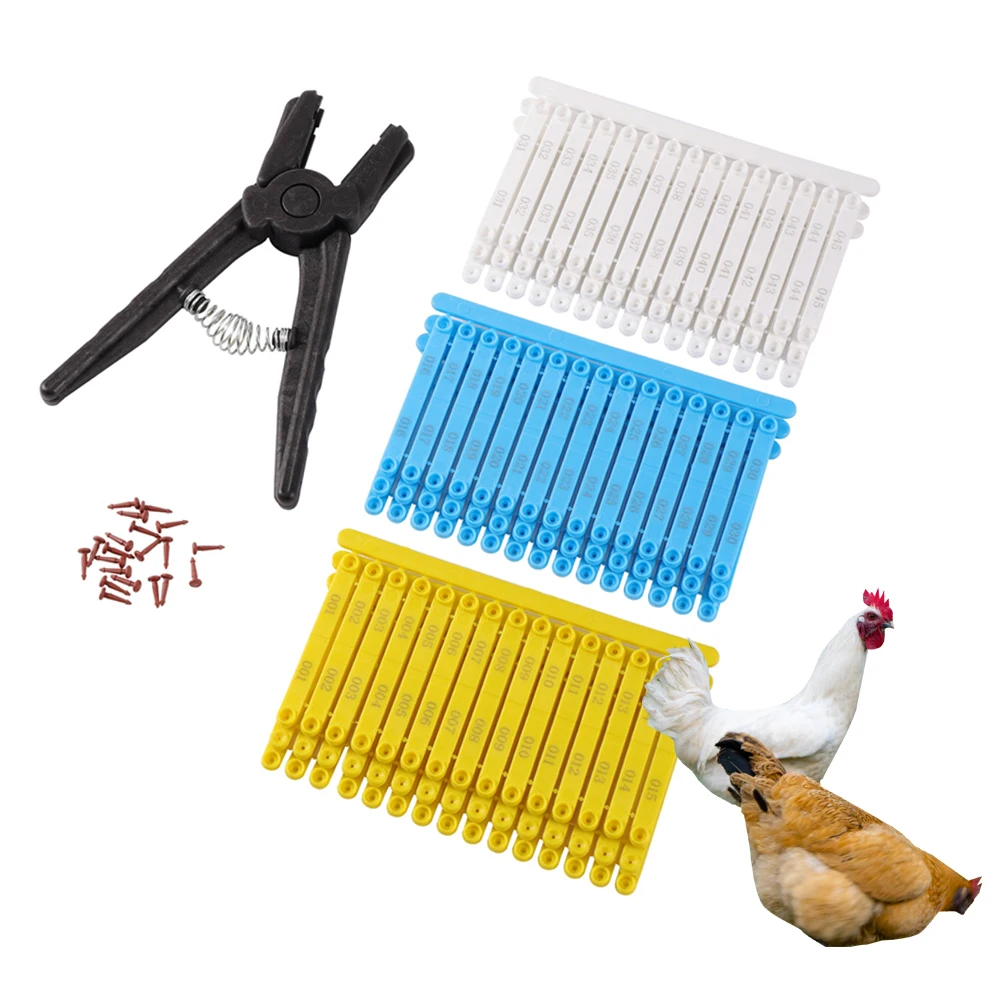 100 Anillos de Identificación para Alas de Pollo y Pinzas, Identificadores de Alas para Aves, Codornices, Palomas, Patos, Gansos, Anillos para Alas de Pollitos