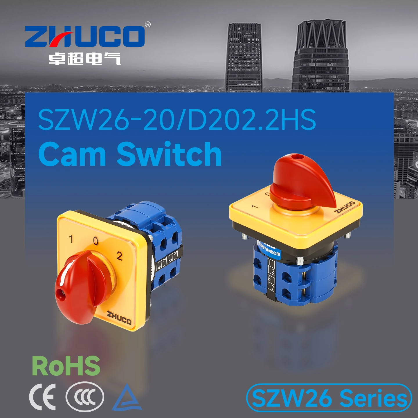Szw26-20/D202.2Hs 102 Panel Three-Position Two-Section Silver Contact Cam Switch Rotary Switch Selector Switch Toggle Switch