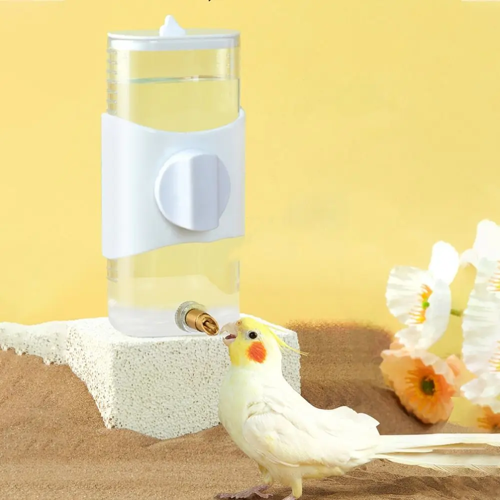 Parrot Striking Needle Water Dispenser Large Capacity Automatic Water Bottle Bird Water Dispenser