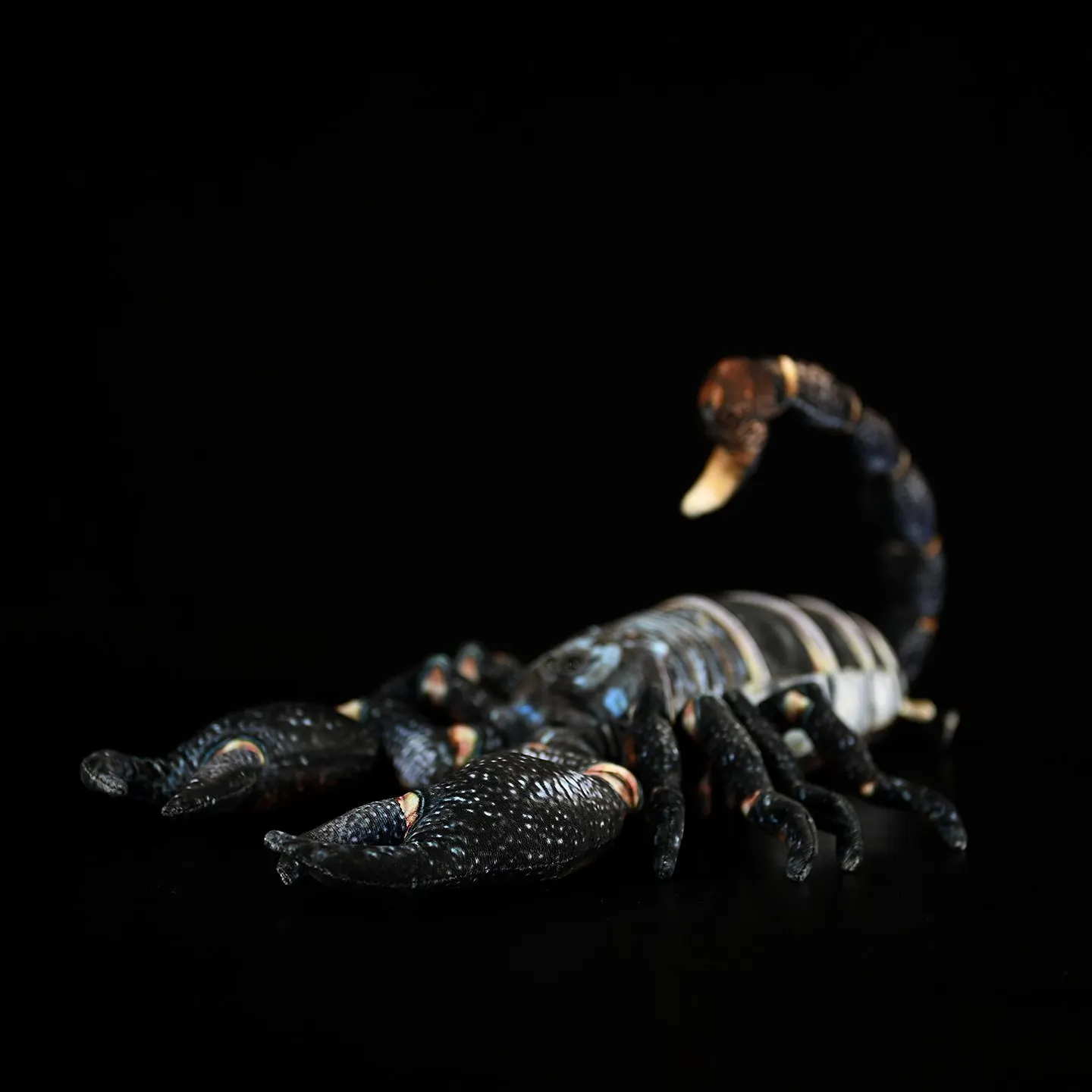 48cm Liocheles australasiae,Realistic Eightfold Mountain Scorpion,Cute Scorpion,Small ornaments and miniature models