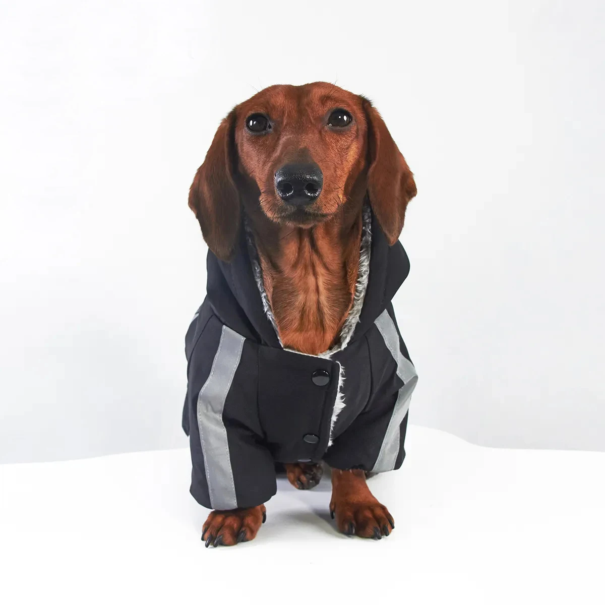 Reflecterende jas met vier poten voor windhonden, sweatshirt voor Wienerhonden, modieuze jas voor windhonden voor de herfst en winter.