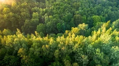 

Радиоуправляемый контроллер скорости ESC 320A для коллекторных двигателей 6-12В для радиоуправляемых моделей кораблей, лодок и автомобилей S99