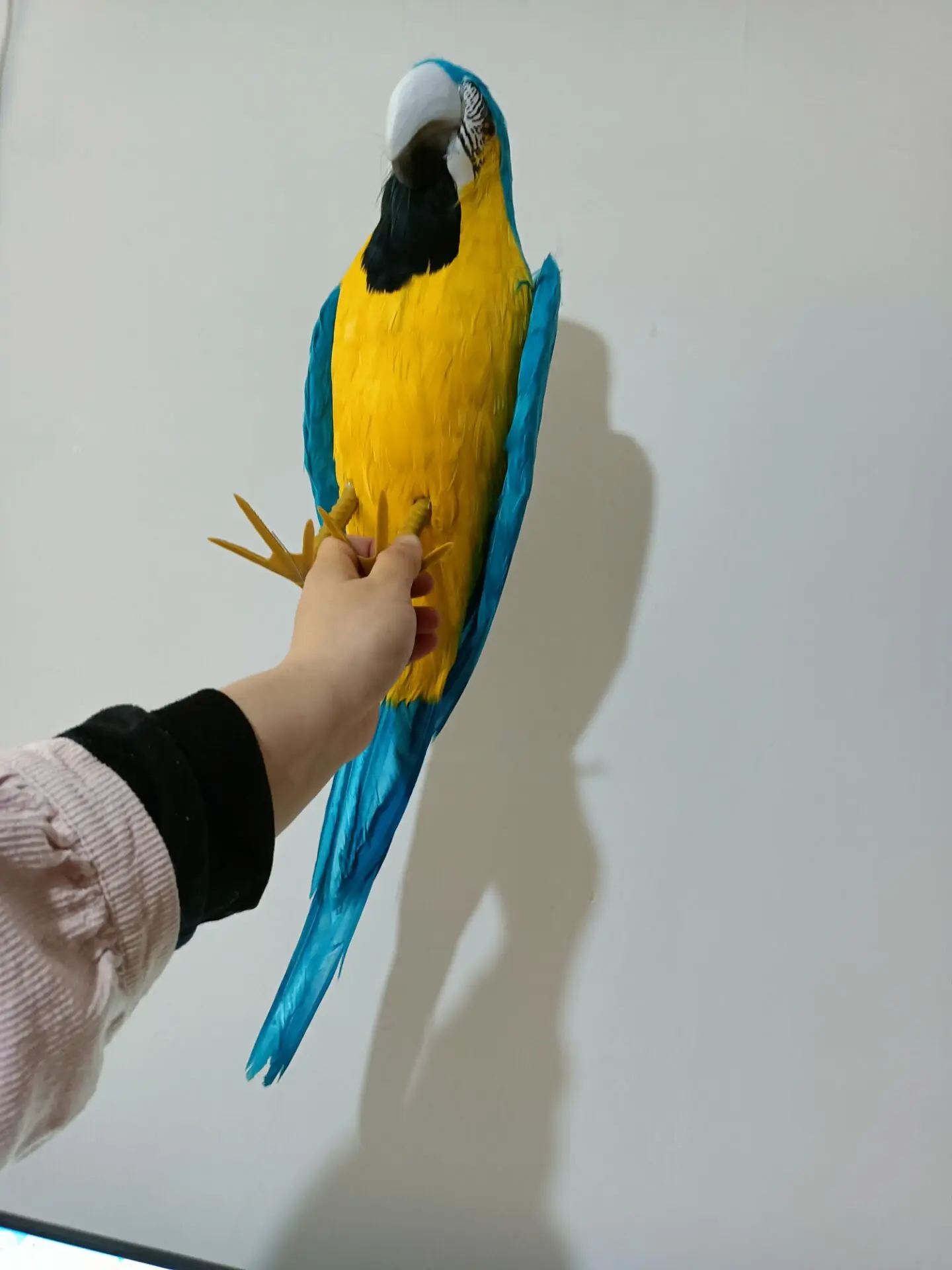 big simulation foam&feather blue&yellow parrot model garden decoration gift about 60cm p2698