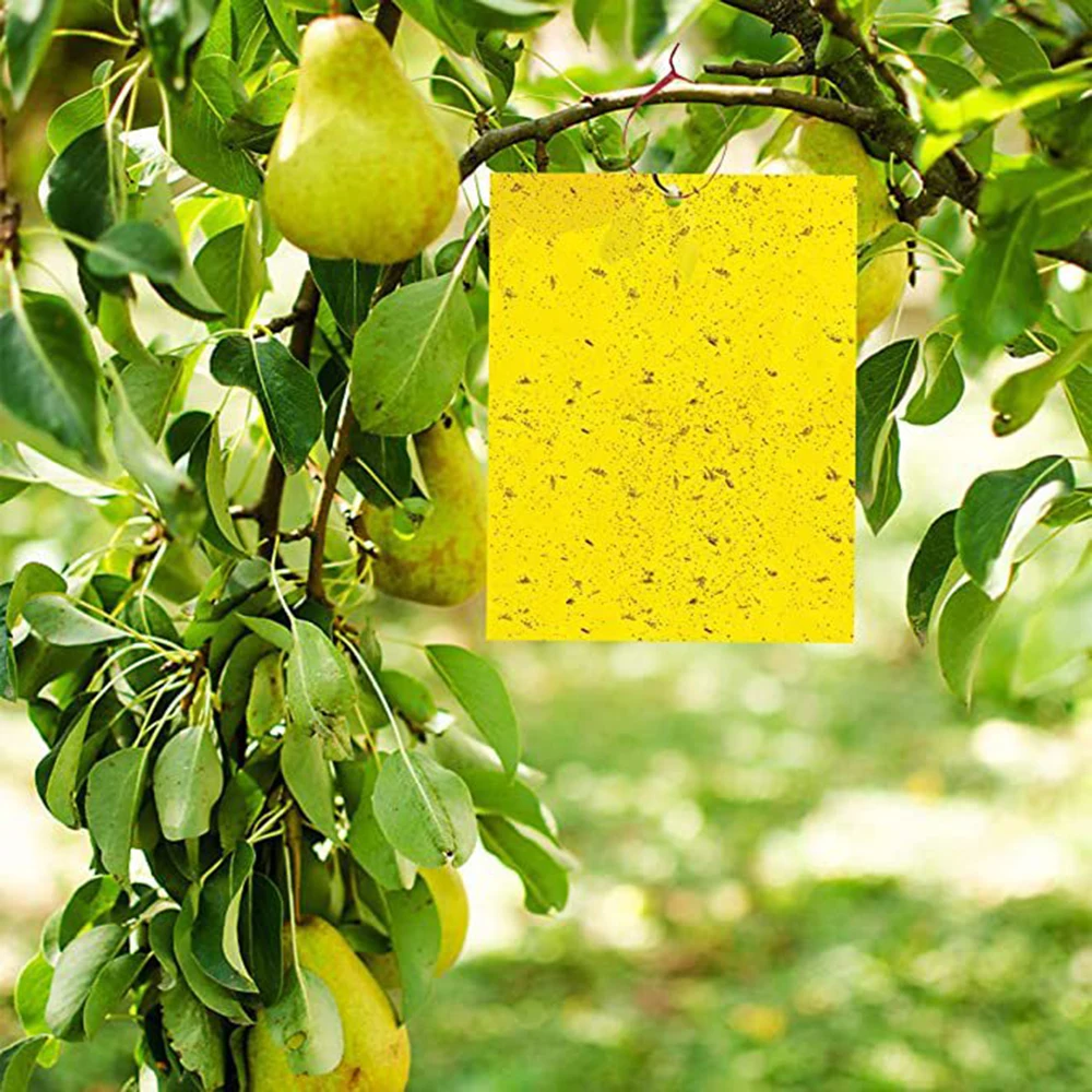 20/40/100/200PCS Sticky Insect Board Double-sided Strong Yellow Board Suitable for Courtyard Tea Gardens And Vegetable Gardens