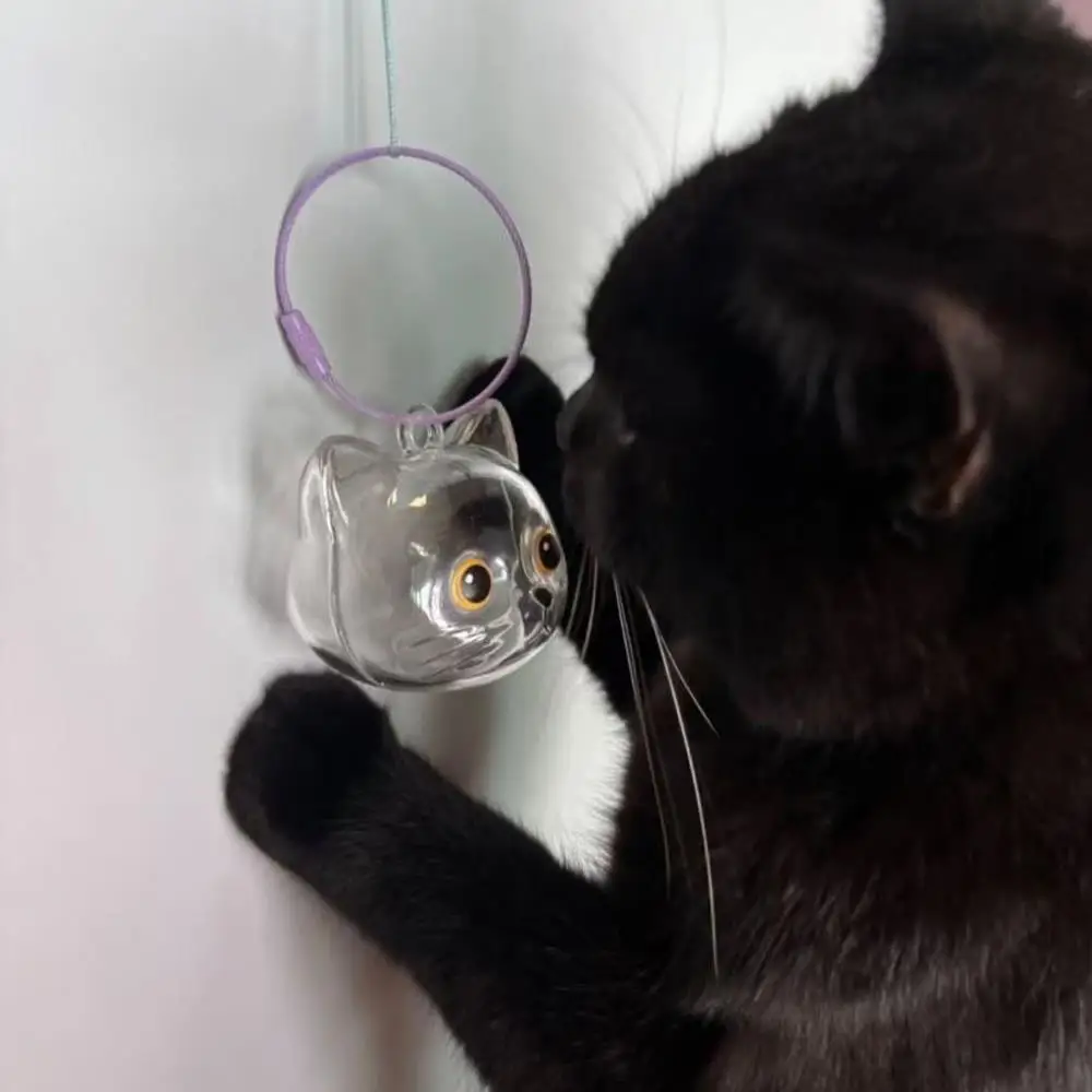 2 قطعة تخزين شعر الحيوانات الأليفة القط الفراء تخزين قلادة المفاتيح حلية هدية عيد ميلاد الإبداعية لطيف المحمولة شفافة تخزين قلادة