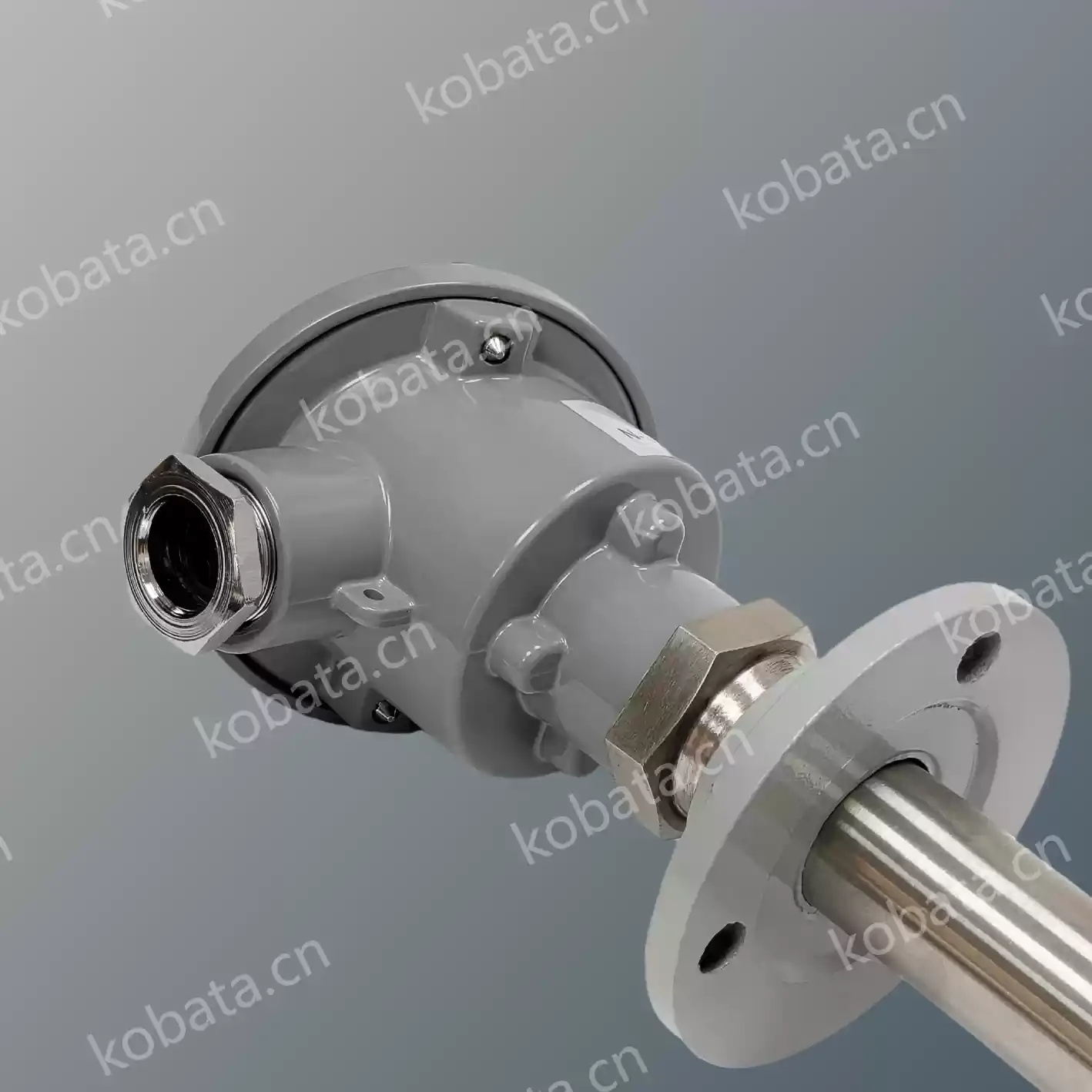 12500 Temperature Sensor Temperature Probe Thermocouple N-300 Incinerator TeamTec