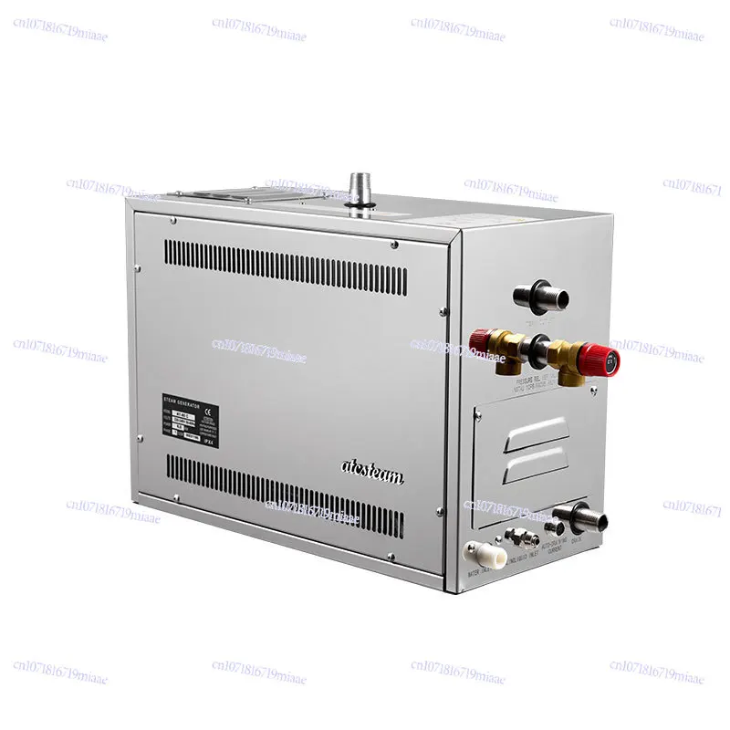 Sauna Steam Engine Household Automatic Sauna Equipment Steam Fumigation Machine