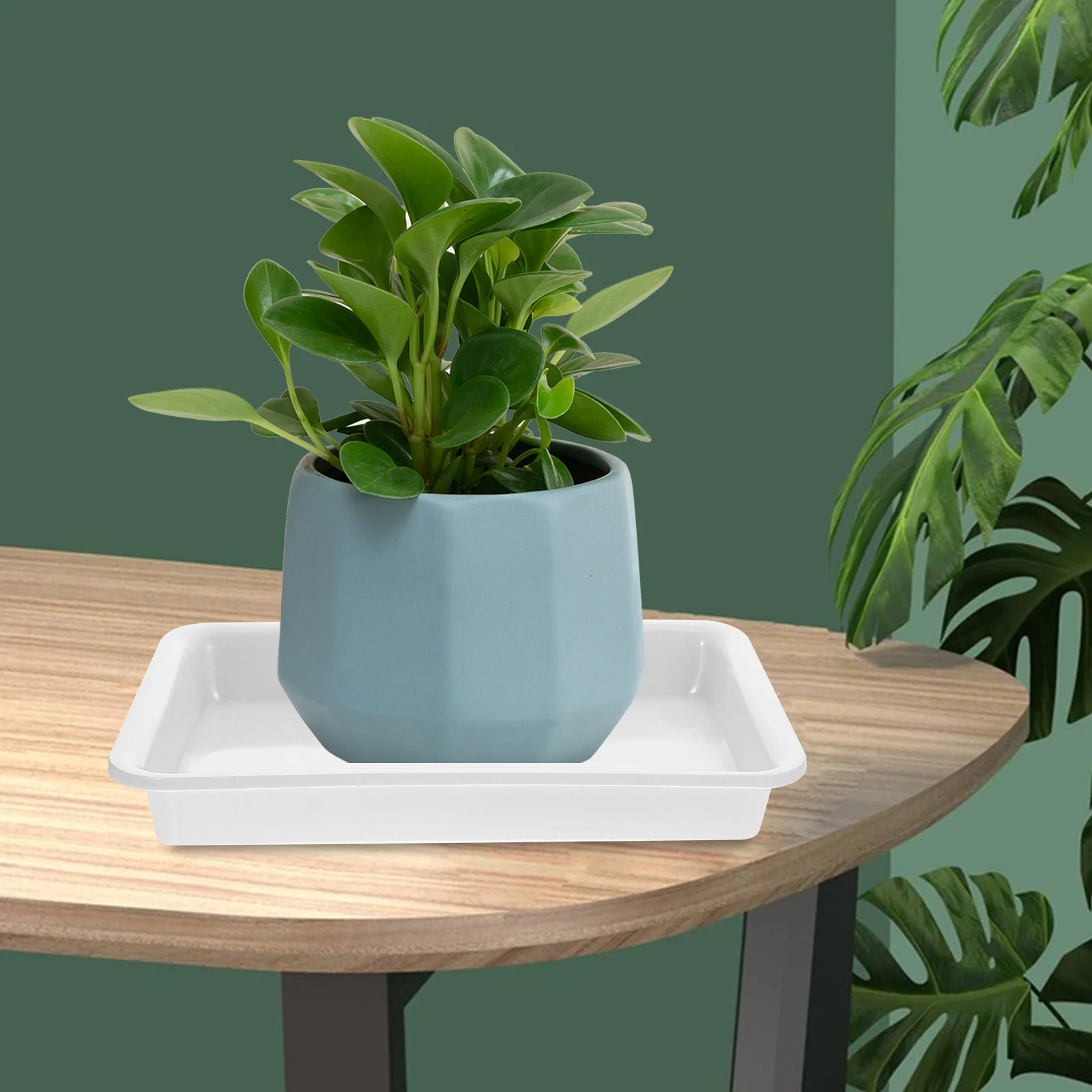 

6Pcs Plant Saucers for Pots Reusable Rectangular Tray Drainage Catcher for Bonsai Houseplants Garden Accessories Drip Trays