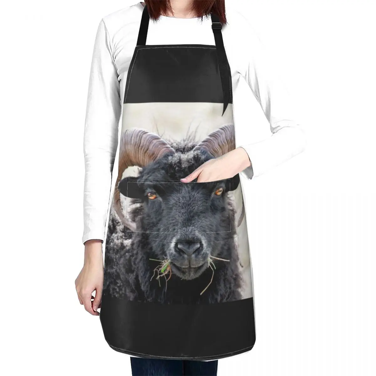 Black Sheep Eye to Eye Contact Hebridean Sheep Apron bib Kitchen Things And For Home Apron