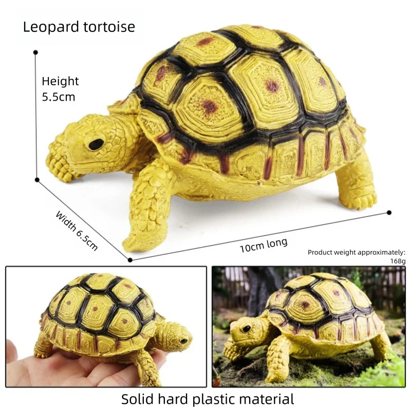 Oenux Simulations-Schildkröten-Set: Alligator, Galapagos-Schildkröte, Chinesische Weichschildkröte Figuren und Puppen – Detail 5