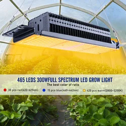 Full Spectrum LED Phytolamp para Plantas, Crescer Luz, Growbox, Estufa, Hidroponia Interior, Vegetal, Flor, 300W