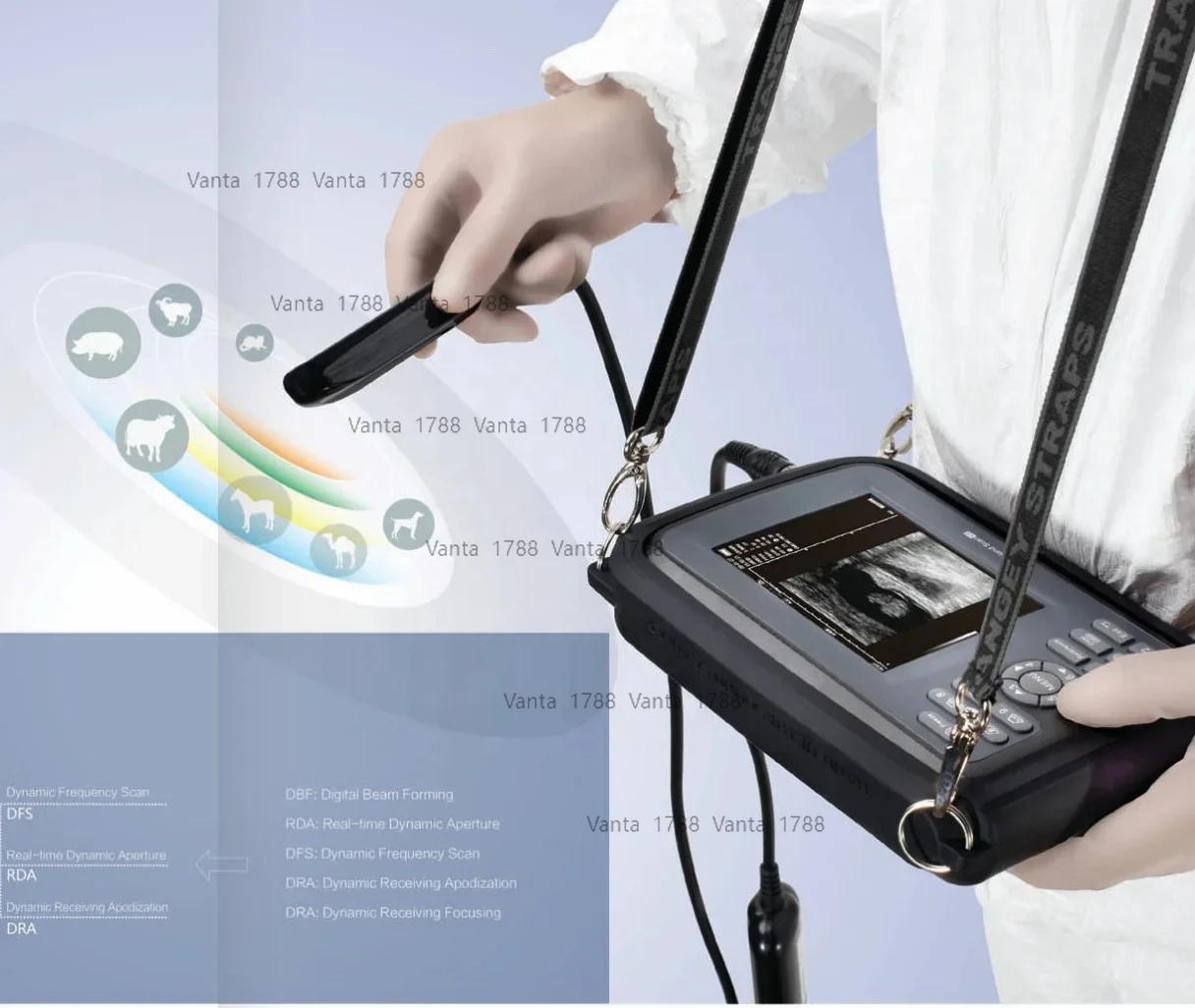 Affordable, Compact… - image