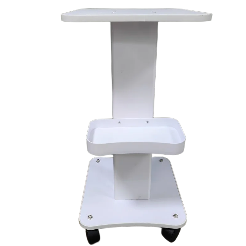 Multifunction Salon Trolley Aluminum Beauty Equipment Stand Hair Salon Use Pedestal Rolling Cart ABS Wheel Storage Cart