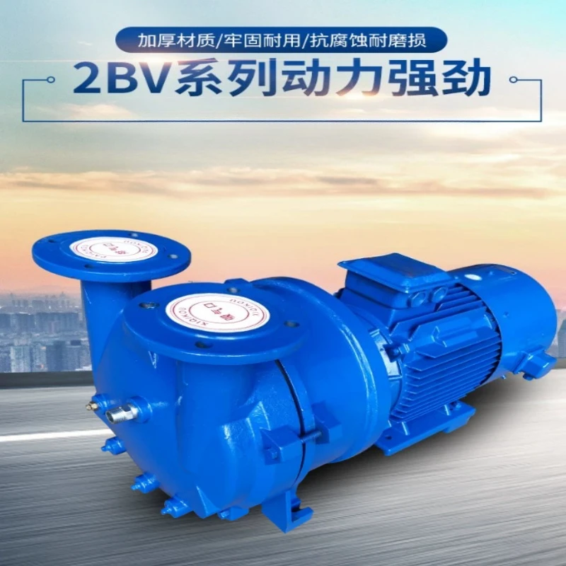 Antifreeze and Corrosion Resistant Vacuum Pump Water Ring Vacuum Pump Industrial Water Circulation Stainless Steel 2070*2.35KW