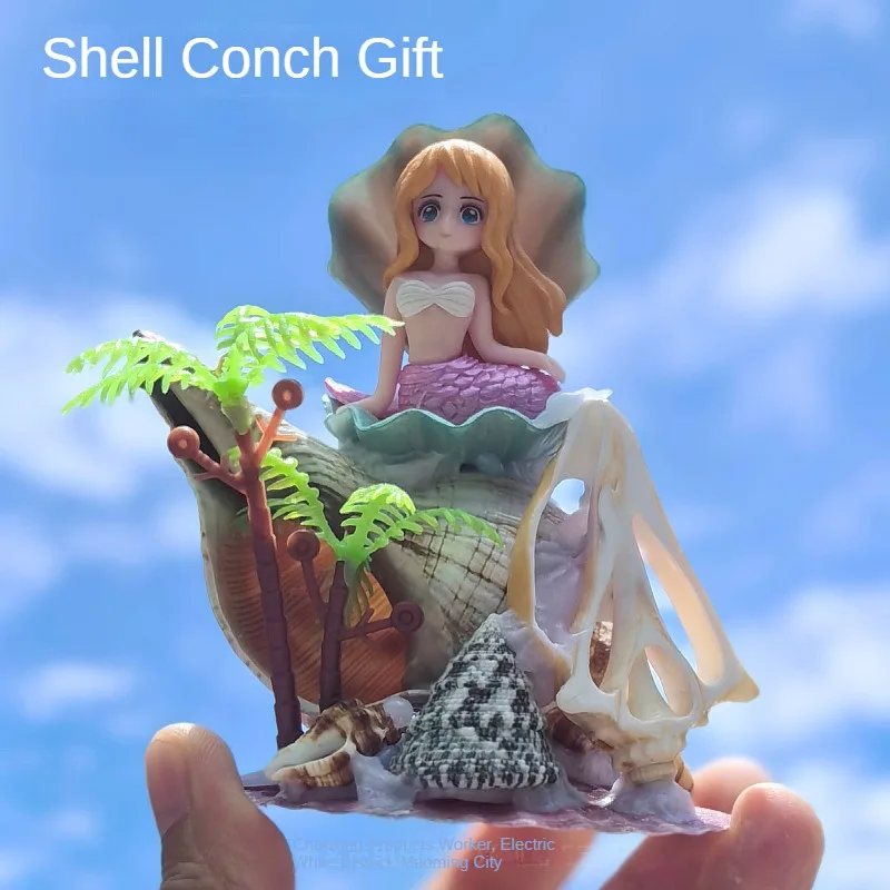

Natural DIY Snail Seashell Rare Sea Shells Home Decoration Accessories Aquarium Decoration Shell Decoration Crafts