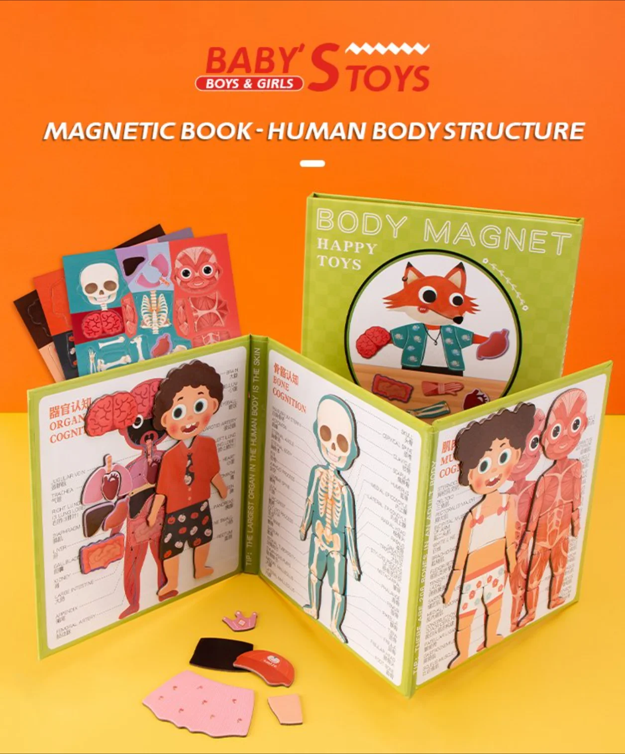 

Магнитная книга о строении человеческого тела для детей и младенцев | Игрушка для изучения анатомии по методике Монтессори с 3 наборами наклеек | Образовательный инструмент